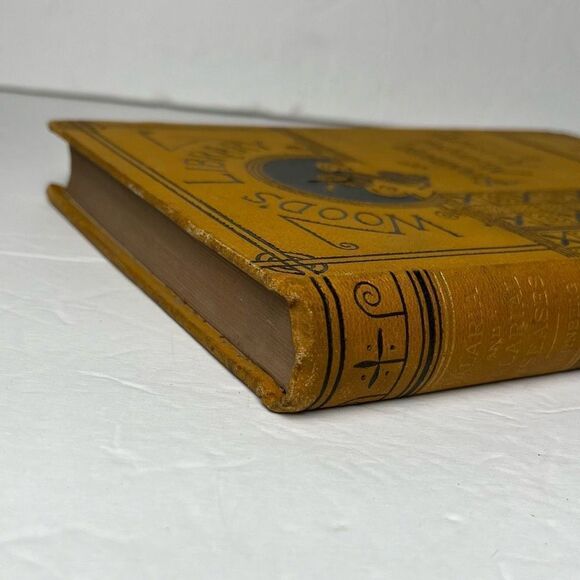 Wood’s Library of Standard Medical Authors Malaria and Malarial Diseases 1884 Ge - Picture 11 of 12